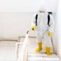 Emergency Mold Testing Services Castle Pines