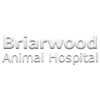 Miami, Pet Sitting, Briarwood Animal Hospital
