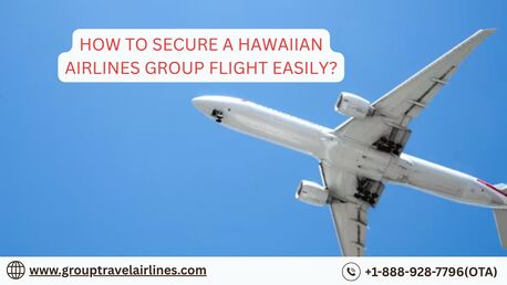 New York, Travel, How To Secure A Hawaiian Airlines Group Flight Easily?