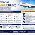 +1-(866)-673-8391 How Much Lufthansa Checked Baggage Is Allowed?