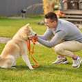 Puppy Boot Camp San Antonio TX