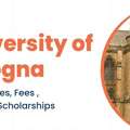 University Of Bologna International Students Support