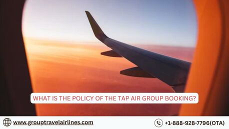New York, Travel, What Is The Policy Of The TAP Air Group Booking?