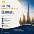 Low Cost Business Setup In UAE | LLC Dubai