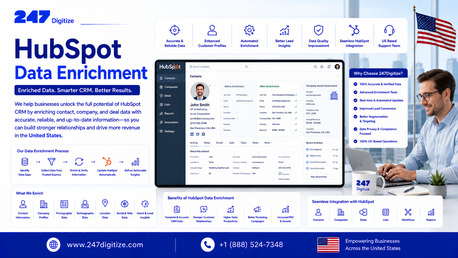 Chicago, Business, B2B Success: HubSpot Data Enrichment Services