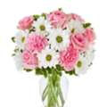 Flowers And Gift Card Delivery | Gifts And Petals Dash!