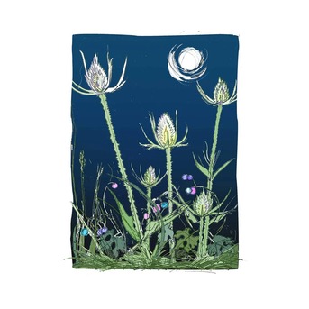New York, Household Items, USD 10,  Discover The Ultimate Greeting Cards Collection &ndash; Thoughtful Cards For Every Occasion & Ev