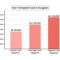 Affordable Hair Transplant Cost In Gurgaon &ndash; Book Consultation
