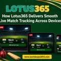 How Lotus365 Delivers Smooth Live Match Tracking Across Devices