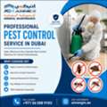 Pest Control In Dubai | Safe & Effective Service &ndash; Annex GM