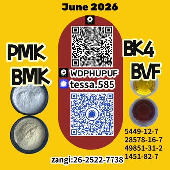 Hong Kong, Business Partners, 5449-12-7  BMK Regioselective Synthesis Glycidic Acid Sodium 28578-16-7 PMK