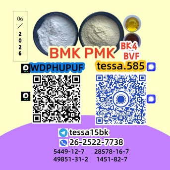 Hong Kong, Business Partners, 5449-12-7  BMK Regioselective Synthesis Glycidic Acid Sodium 28578-16-7 PMK