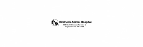 New York, Health, Birdneck Animal Hospital