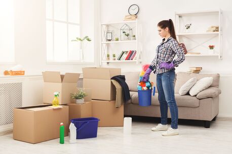 New York, Business, SP Cleaning Services