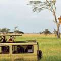 Tanzania Safari Holidays