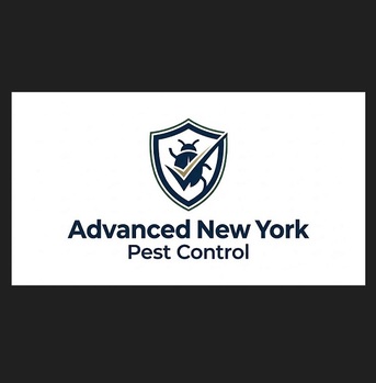New York, Business, Advanced New York Pest Control