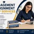 Management Assignment Help Services &ndash; Professional Assistance For Academic Success