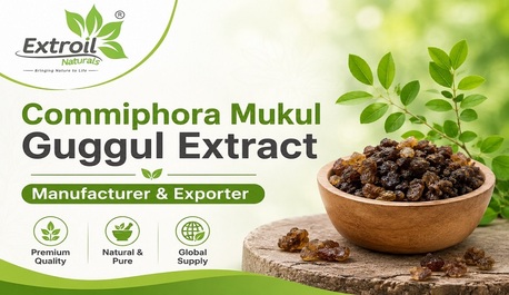 Ahmedabad, Health & Beauty Items, Commiphora Mukul Guggul Extract Manufacturer & Exporter
