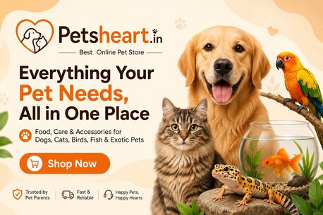 Mumbai, Pet Supplies, Premium Pet Food And Accessories Available Online - PetsHeart