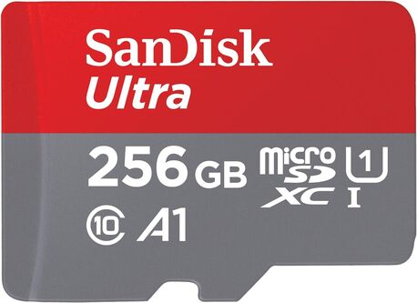 Riyadh, Electronics, SAR 20,  SD Cards 256 GB (Bulk) SAR-20