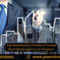 INR 20000,  299 Sq. Meter,  Top Reasons To Choose A Trusted Real Estate Agency In Gurgaon
