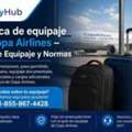 Política De Equipaje De Copa Airlines &ndash; Guía De Equipaje Y Normas