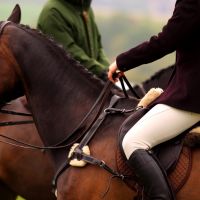 London, Cleaning, Equine Rug Laundry And Stable Washing Services Across Yorkshire