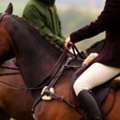 Equine Rug Laundry And Stable Washing Services Across Yorkshire