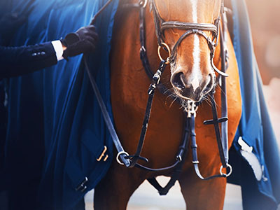 London, Cleaning, Equine Rug Laundry And Stable Washing Services Across Yorkshire