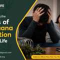 Understanding Motivation And Lifestyle Changes During Recovery