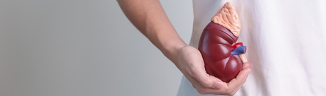 New York, Health, Personalized Clinical Care Services For Dialysis Patients