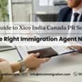 Trusted Immigration Consultants For Smooth Visa Process &ndash; Explore Xico India In Skate