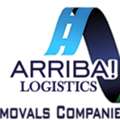 Arriba Man With A Van