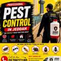 🪳🚫 JEDDAH'S TRUSTED PEST CONTROL SPECIALISTS 🏆