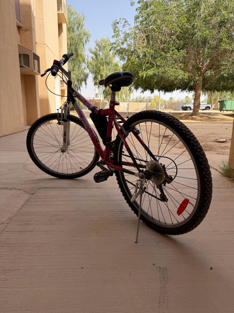 Al Naseem, Bicycles, SAR 200,  1  Bicycle