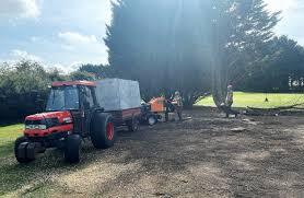 London, Business, Log Suppliers Dorchester | Log Suppliers Weymouth