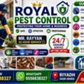 🏆1🏆 Royal Pest Control Services In Riyadh  🐜 Ant Control 🪳 Cockroach Control
