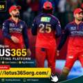 Lotus 365: Best Online Cricket Betting Site In 2026