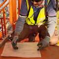 Mechanical Fitter