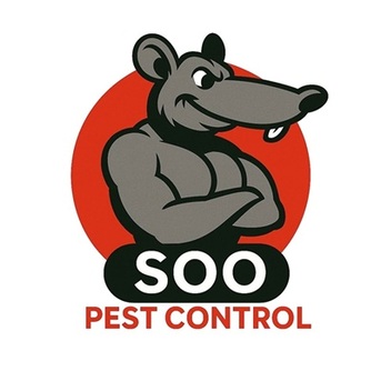 Toronto, Pest Control, Soo Pest Contronl Inc