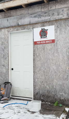 Toronto, Pest Control, Soo Pest Contronl Inc