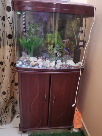 Isa Town, Household Items, Grill With Tava, Roti Maker, Table, Dewan, Washing Machine, Fish Tank, Dining Table, Cycle