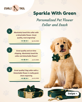 Dallas, Pet Supplies, USD 28,  Custom Personalized PU Leather Dog Collar &ndash; CurliTail USA