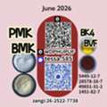 CNY 50,  5449-12-7  BMK Glycidic Acid Sodium Laboratory Chemicals Manufacturer  28578-16-7 PMK  145