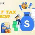 Reliable Expat Tax Advisor For International Tax Solutions