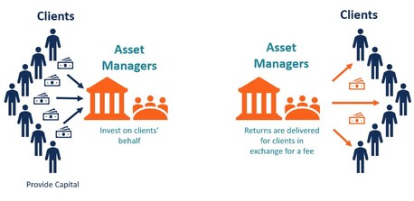 New Delhi, Software Development, Still Using Spreadsheets? Try Asset Management Software India Today