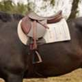 CHF 1,  Best Saddle Pads For Horses &ndash; Shop Quality Equestrian Saddle Pads