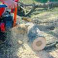 Tree Grinding Service Camberley | Fast & Affordable Stump Removal