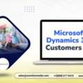 Microsoft Dynamics 365 Customers List