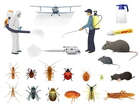 Riyadh, Pest Control, Pest Control Spray And Bed Bug